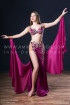 Professional bellydance costume (classic 172a)